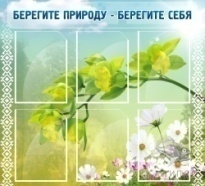 Берегите природу - берегите себя