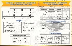 Аккорды