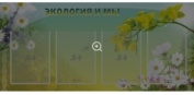 Экология и мы
